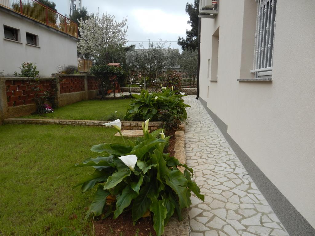 Apartments Hortensia Pula Exterior photo